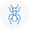 Ant Removals In Butshey