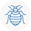 Bed Bug Extermination In Butshey