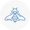 Bee Nest Removal Butshey