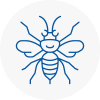 Butshey Hornet Nest Removals