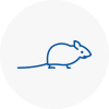 Mice Exterminators In Butshey