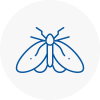 Moth Control Specialists In Butshey