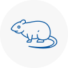 Rat Control Butshey